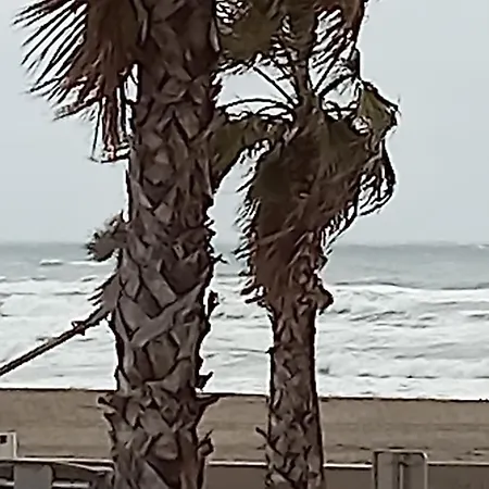 Appartamento Barcarès Village - Rdc De Maison Indép. 2/6 P